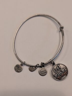 Alex and Ani Silver Logo Charm Bangle